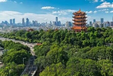 廖彩杏点读笔-廖彩杏点读笔，开启儿童英语启蒙的新篇章